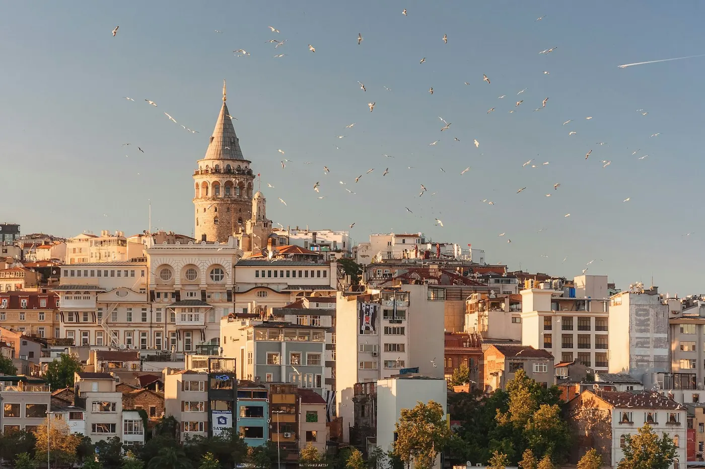 Aerial view of Istanbul rooftops and mosque domes with seagulls