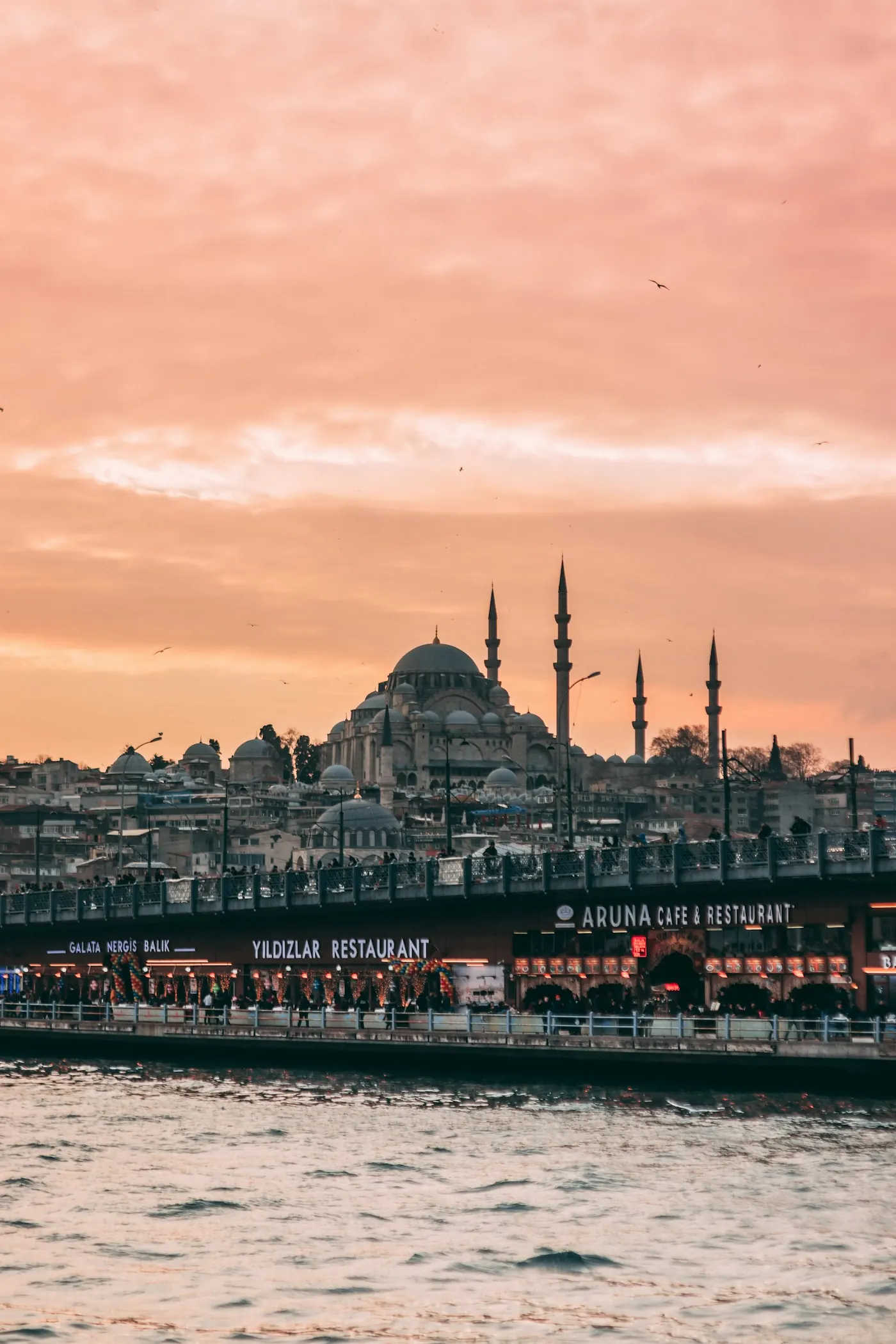 The Bosphorus with the Istanbul skyline in the background